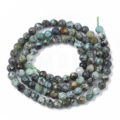 Natural African Turquoise(Jasper) Beads Strands G-S361-4mm-002-1