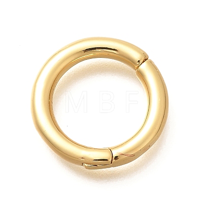 Rack Plating Ring Brass Spring Gate Clasps KK-M309-36G-1