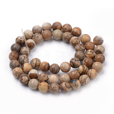 Natural Picture Jasper Beads Strands G-S259-27-10mm-1