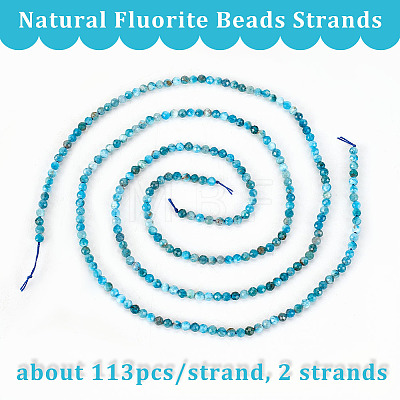 Olycraft 2 Strands Natural Apatite Beads Strands G-OC0004-41-1