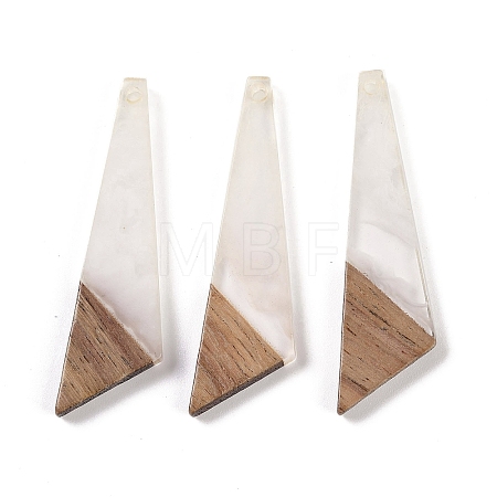 Resin & Wood Pendants WOOD-F015-15B-1