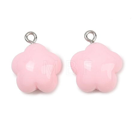 Opaque Resin Pendants RE-CBAF00C-12A-1