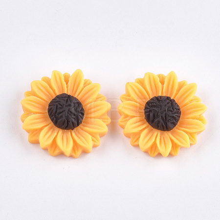 Resin Pendants CRES-T010-58B-1