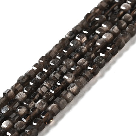 Natural Silver Sheen Obsidian Beads Strands G-D467-A01-1
