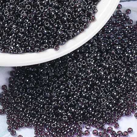 MIYUKI Round Rocailles Beads X-SEED-G009-RR0171-1