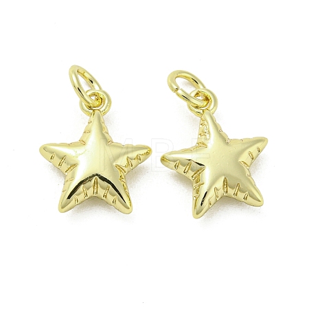Rack Plating Brass Pendants FIND-Z024-05G-1