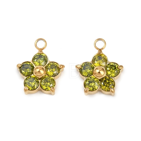 304 Stainless Steel Micro Pave Cubic Zirconia Charms STAS-B088-01G-04-1
