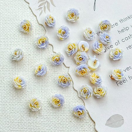 Two Tone Transparent Resin Charms LS-RESI-CJC0023-19C-1