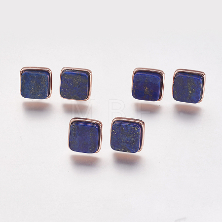 Natural Lapis Lazuli Stud Earrings EJEW-F139-A09-1