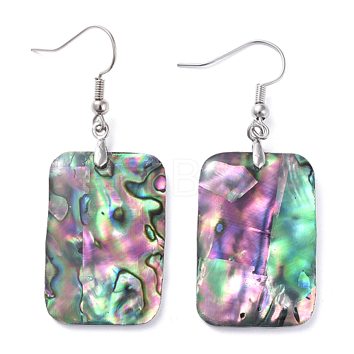 Abalone Shell/Paua Shell Dangle Earrings EJEW-K081-02D-1