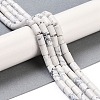 Natural Howlite Beads Strands G-C128-A37-01-2