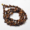 Natural Yellow Tiger Eye Chip Bead Strands G-L444-01-2