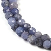 Natural Tanzanite Beads Strands G-F717-17B-01-3