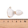 Natural Sea Shell Pendants SSHEL-N038-36-3