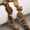 Natural Picture Jasper Beads Strands GG-CBA0B77-A08-03-1