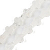 Natural Quartz Crystal Beads Strands G-I369-A01-01-1