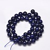 Dyed Natural Lapis Lazuli Round Beads Strands G-M169-4mm-05-3