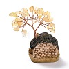 Resin & Natural Mixed Stone Model Ornament DJEW-Z001-01-4