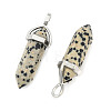 Natural Dalmatian Jasper Double Terminated Pointed Pendants LS-G-D415-03-3
