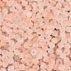 Frosted Glass Seed Beads SEED-N012-01G-3