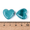Handmade Lampwork Beads LAMP-T023-27I-3