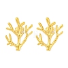 Ion Plating(IP) 304 Stainless Steel Tree Branch Stud Earrings EJEW-D281-08G-1