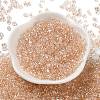 Glass Seed Beads SEED-L011-05B-04-2