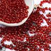 Glass Seed Beads X1-SEED-H002-C-A051-1