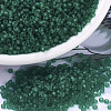 MIYUKI Round Rocailles Beads X-SEED-G007-RR0147F-1