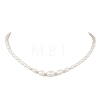 Natural Cultured Freshwater Pearl Necklaces for Women NJEW-JN05940-2