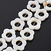 Freshwater Shell Beads Frames Strands SHEL-T009-14A-2