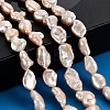 Natural Keshi Pearl Beads Strands PEAR-S020-T02-5