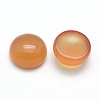 Natural Carnelian Cabochons G-P393-R41-10mm-2