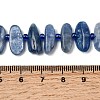 Natural Kyanite Beads Strands G-L649-A01-01-5