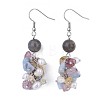 Natural Mixed Stone Dangle Earrings EJEW-JE03228-02-1