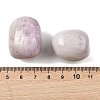 Natural Kunzite Beads G-G348-01B-15-3