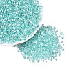 Transparent Electroplate Glass Beads EGLA-Q138-01F-1
