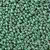 TOHO Round Seed Beads X-SEED-TR08-PF0561-2