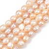 Natural Cultured Freshwater Pearl Beads Strands PEAR-P064-20L-04B-2