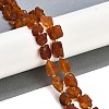 Raw Rough Natural Amber Beads Strands G-B125-C01-01-2