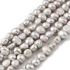 Natural Cultured Freshwater Pearl Beads Strands PEAR-P064-19J-03C-2