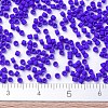 MIYUKI Delica Beads SEED-J020-DB0756-4