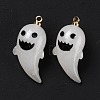 Halloween Opaque Resin Pendants RESI-B010-04D-2