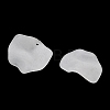 Frosted Acrylic Pendants SACR-F016-02C-2