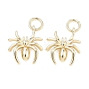 Brass Pendants KK-C251-23G-1
