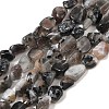 Natural Moonstone Beads Strands G-A284-A01-01-2