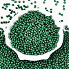 Opaque Acrylic Beads SACR-A006-06A-2
