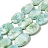 Natural Glass Beads Strands G-I247-34B-1