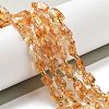 Natural Citrine Beads Strands G-H074-C02-01-2