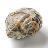 Natural Crazy Agate Home Display Decorations G-H253-B05-3